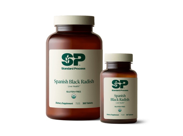 Spanish Black Radish